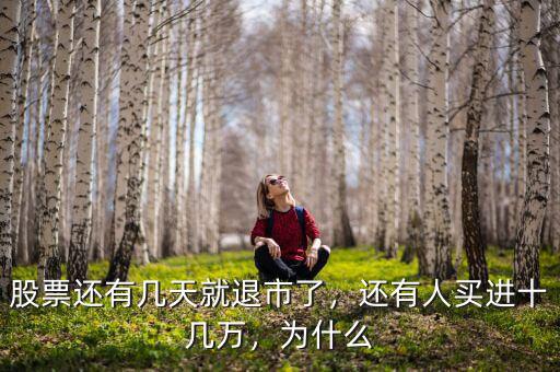 股票還有幾天就退市了，還有人買(mǎi)進(jìn)十幾萬(wàn)，為什么