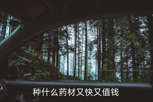 種什么藥材又快又值錢(qián)