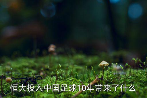 恒大投入中國(guó)足球10年帶來了什么