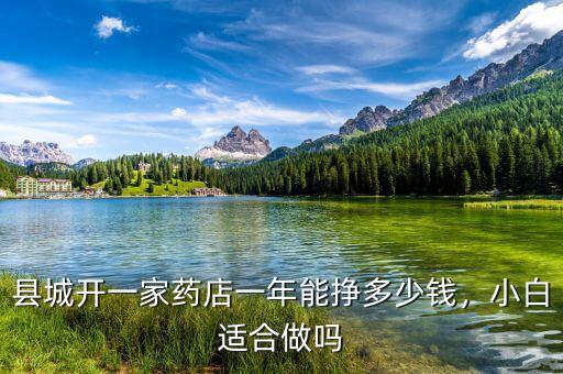 縣城開一家藥店一年能掙多少錢，小白適合做嗎