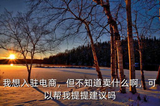我想入駐電商，但不知道賣什么啊，可以幫我提提建議嗎