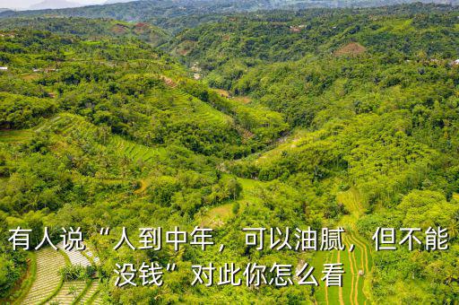 有人說“人到中年，可以油膩，但不能沒錢”對此你怎么看