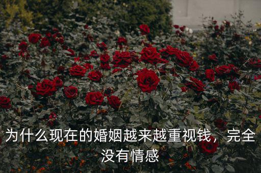 為什么現(xiàn)在的婚姻越來(lái)越重視錢，完全沒(méi)有情感
