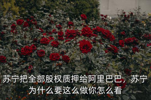 蘇寧把全部股權(quán)質(zhì)押給阿里巴巴，蘇寧為什么要這么做你怎么看