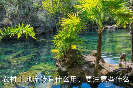 農(nóng)村土地流轉有什么用，要注意些什么