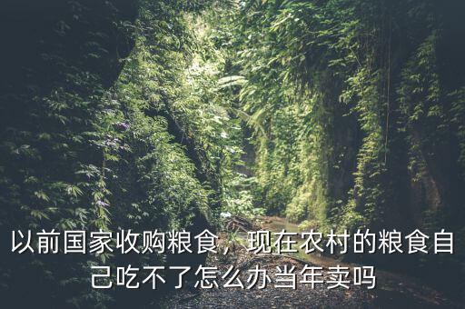 以前國(guó)家收購(gòu)糧食，現(xiàn)在農(nóng)村的糧食自己吃不了怎么辦當(dāng)年賣嗎