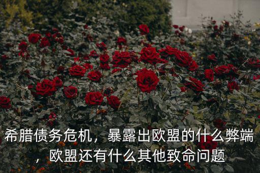 希臘債務危機，暴露出歐盟的什么弊端，歐盟還有什么其他致命問題