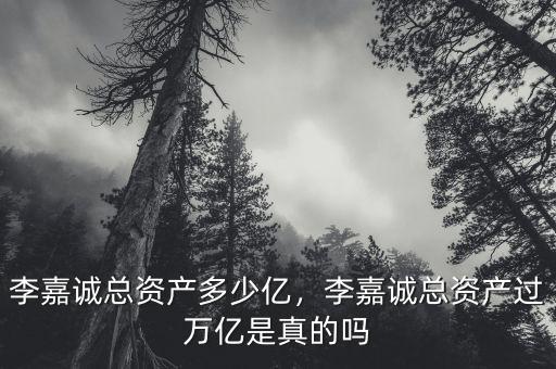李嘉誠(chéng)總資產(chǎn)多少億，李嘉誠(chéng)總資產(chǎn)過(guò)萬(wàn)億是真的嗎