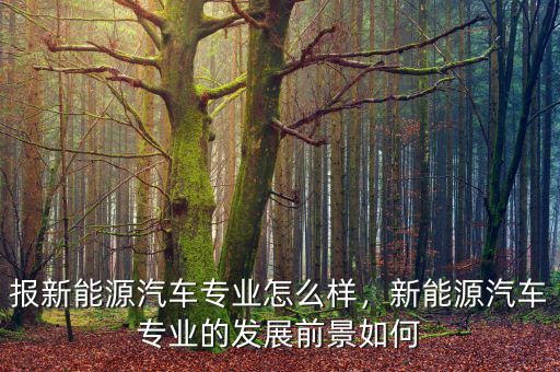 美克新能源怎么樣,新能源汽車(chē)維修專(zhuān)業(yè)怎么樣