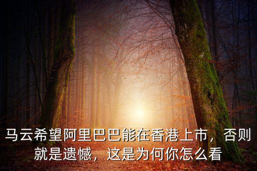 馬云希望阿里巴巴能在香港上市，否則就是遺憾，這是為何你怎么看