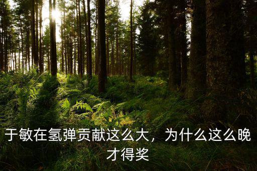 于敏在氫彈貢獻(xiàn)這么大，為什么這么晚才得獎(jiǎng)
