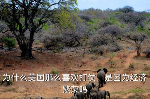 為什么美國(guó)那么喜歡打仗，是因?yàn)榻?jīng)濟(jì)繁榮嗎