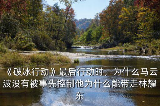 《破冰行動》最后行動時，為什么馬云波沒有被事先控制他為什么能帶走林耀東
