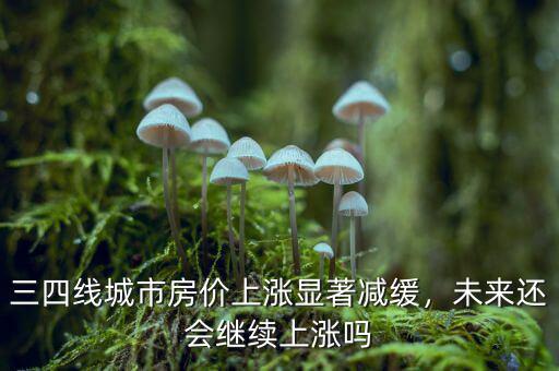 三四線(xiàn)城市房?jī)r(jià)什么時(shí)候上漲,三四線(xiàn)城市房?jī)r(jià)上漲顯著減緩