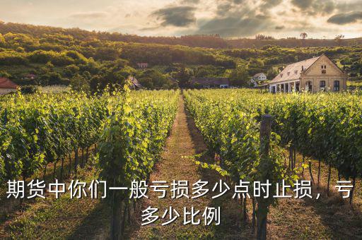 期貨中你們一般虧損多少點時止損，虧多少比例