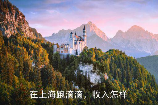 在上海跑滴滴，收入怎樣