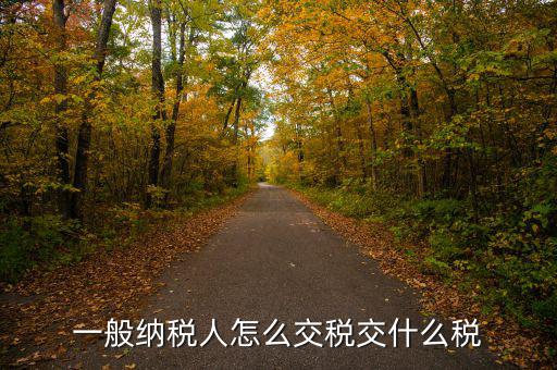 稅友可以繳納什么稅，一般納稅人應(yīng)該交什么稅稅率是多少啊