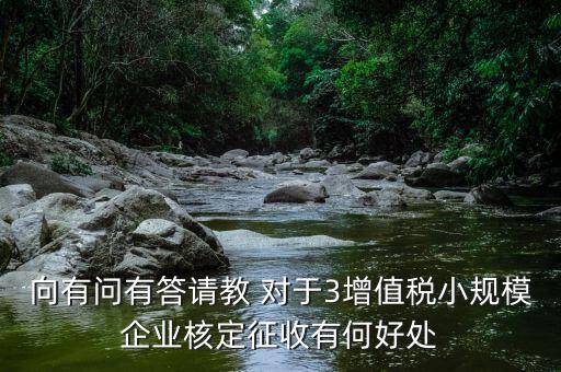 核定征收有什么好處，向有問有答請(qǐng)教 對(duì)于3增值稅小規(guī)模企業(yè)核定征收有何好處