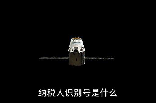 海寧市國家稅務局認別號是什么，納稅人識別號是什么