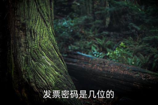 普通發(fā)票密碼是什么，國(guó)稅局發(fā)票軟件里用戶代碼和密碼是什么