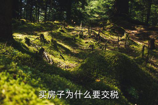 為什么 家庭納稅，納稅對(duì)家庭有什么影響
