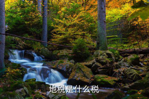 地稅專項收入是什么稅，地稅是什么稅