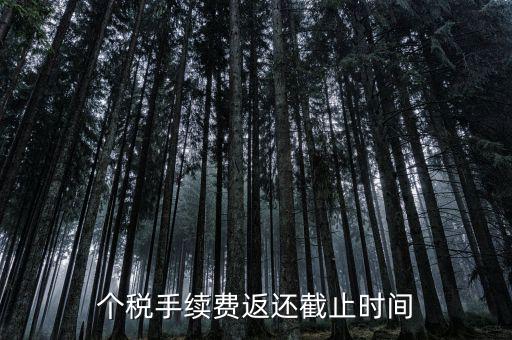 個稅手續(xù)費返還什么時候還，個稅手續(xù)費返還時間
