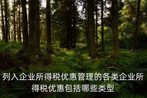 企業(yè)所得稅優(yōu)惠事項名稱指什么，享受企業(yè)所得稅優(yōu)惠申請表中稅收優(yōu)惠事項名稱怎么填