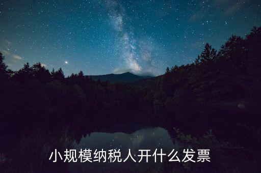 成都小規(guī)模應(yīng)開什么發(fā)票，小規(guī)模納稅人開什么發(fā)票