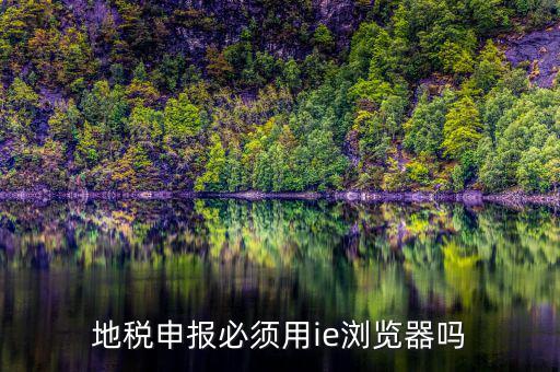用什么瀏覽器申報山東地稅，地稅申報必須用ie瀏覽器嗎