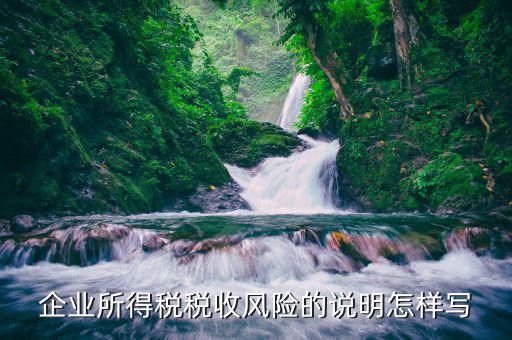稅收中等風險是什么內容，企業(yè)所得稅稅收風險的說明怎樣寫