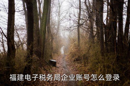 福建省地稅登入名是什么，地稅網(wǎng)上報稅平臺報稅賬號是什么