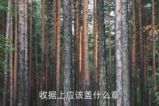 收據(jù)應(yīng)蓋什么章，收據(jù)蓋什么章有規(guī)定嗎