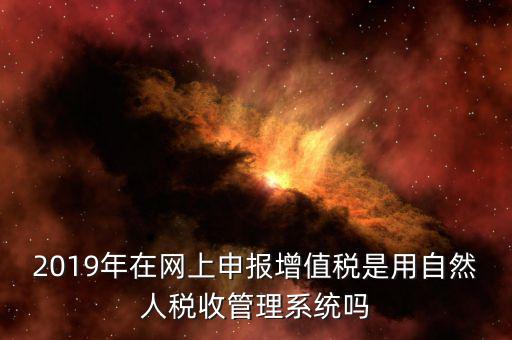 什么是增值稅管理系統(tǒng)，2019年在網(wǎng)上申報(bào)增值稅是用自然人稅收管理系統(tǒng)嗎