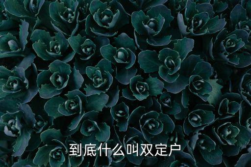 什么是雙定戶，雙翅一一翻雙眉什么雙眼什么
