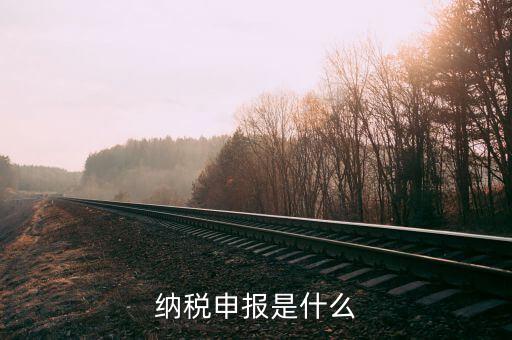 納稅申報(bào)是什么，納稅申報(bào)是什么意思