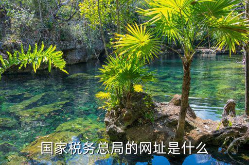 什么網(wǎng)址可以打開國家稅務(wù)網(wǎng)站，國家稅務(wù)總局的網(wǎng)址是什么