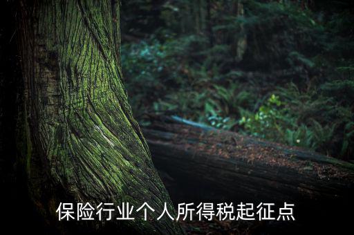 保險行業(yè)入交什么稅，保險行業(yè)個人所得稅起征點