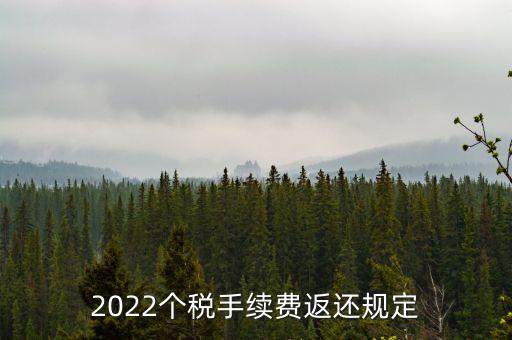 個(gè)稅返手續(xù)費(fèi)什么時(shí)間，退個(gè)稅手續(xù)費(fèi)2022年新規(guī)定