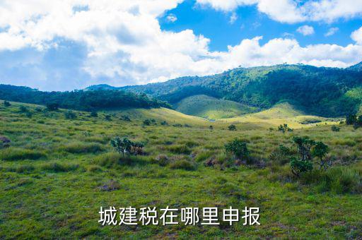 地稅城市維護(hù)建設(shè)稅按什么申報(bào)，城建稅申報(bào)