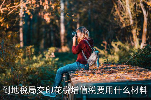 賬簿印花稅去地稅買要帶什么資料，購買印花稅帶什么資料