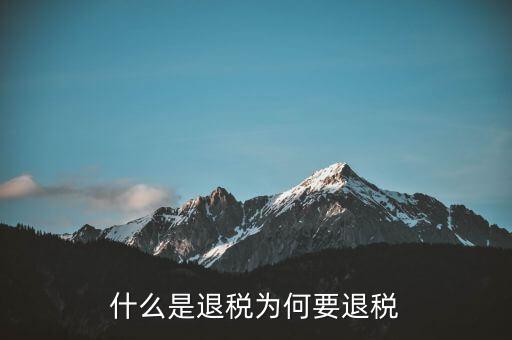 什么事退稅指標(biāo)，什么是退稅為何要退稅