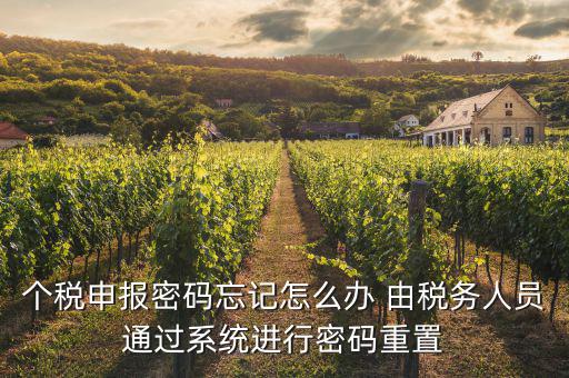 去稅局重置密碼要帶什么資料，個稅申報密碼怎么重置