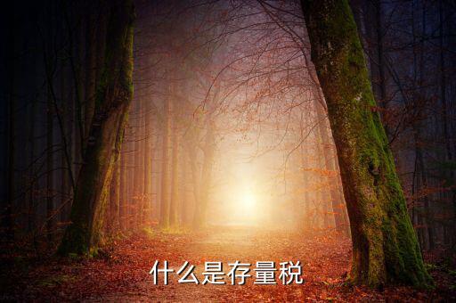稅務(wù)存量戶指什么，稅務(wù)登記證轉(zhuǎn)非是什么意思