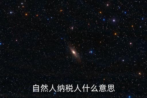 登記稅務(wù)的自然人是什么意思，請問一下自然人登記是什么意思