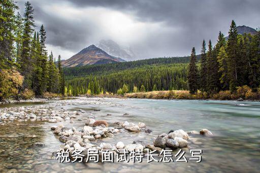 稅務(wù)局看重什么特長，稅務(wù)局面試特長怎么寫