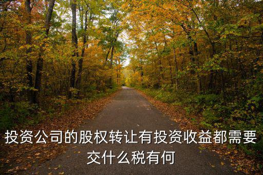 投資公司要交什么稅，投資集團公司如何繳稅