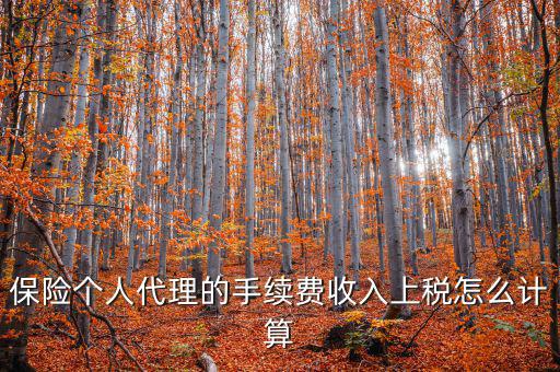 保險(xiǎn)代理員交什么稅，請問從車輛保險(xiǎn)代理人的提承里扣的稅是什么稅啊