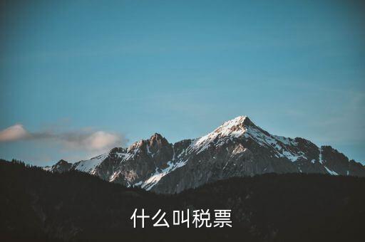 納稅稅票是什么，什么叫稅票