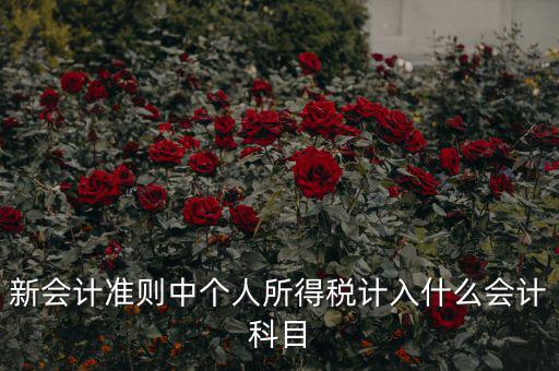 所得稅費(fèi)用什么科目，新會(huì)計(jì)準(zhǔn)則中個(gè)人所得稅計(jì)入什么會(huì)計(jì)科目